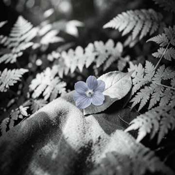 The Small Bright Hour