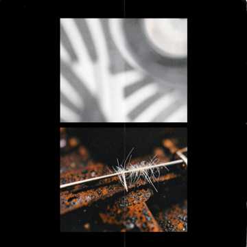 Begin with a muted intro of warped synth fragments
